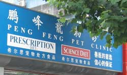 Vet Clinic in Shanghai