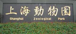 Shanghai Zoo